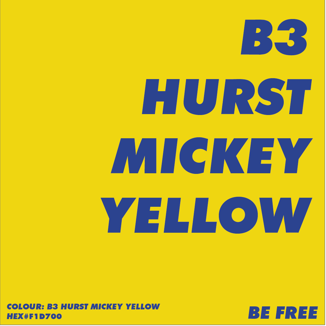 Artist Acrylic Matt Paint BE3 HURST MICKEY