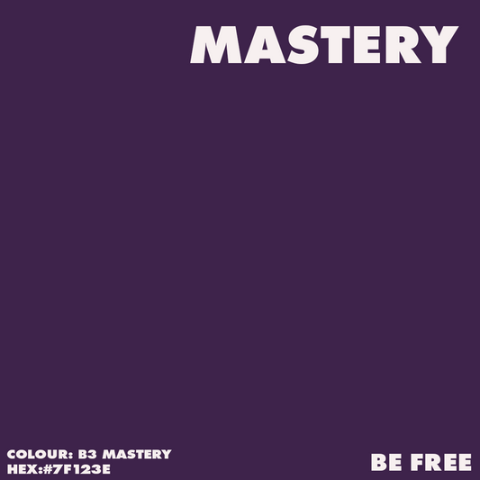 Artist Acrylic Matt Paint BE3 MASTERY