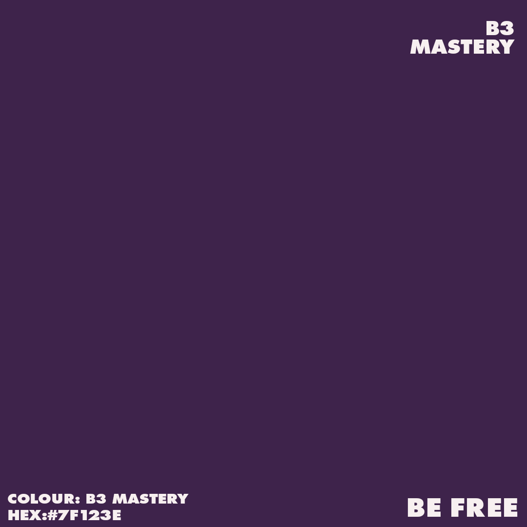 Artist Acrylic Matt Paint BE3 MASTERY