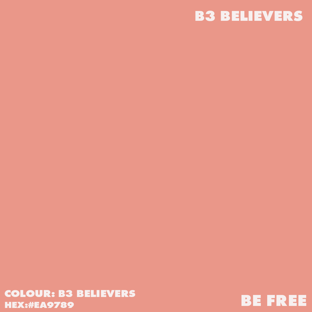 Artist Acrylic Matt Paint BE3 BELIEVERS