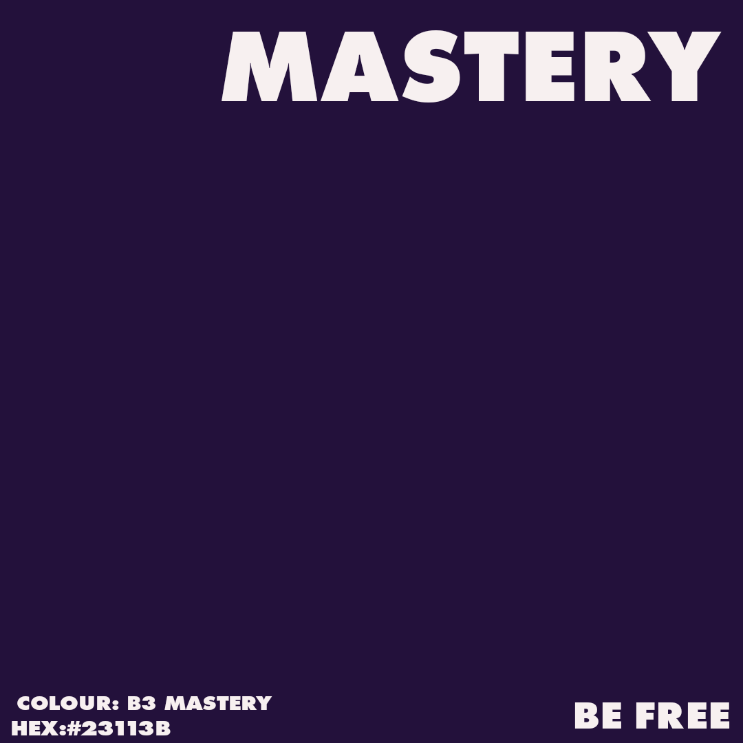 Artist Acrylic Matt Paint BE3 MASTERY