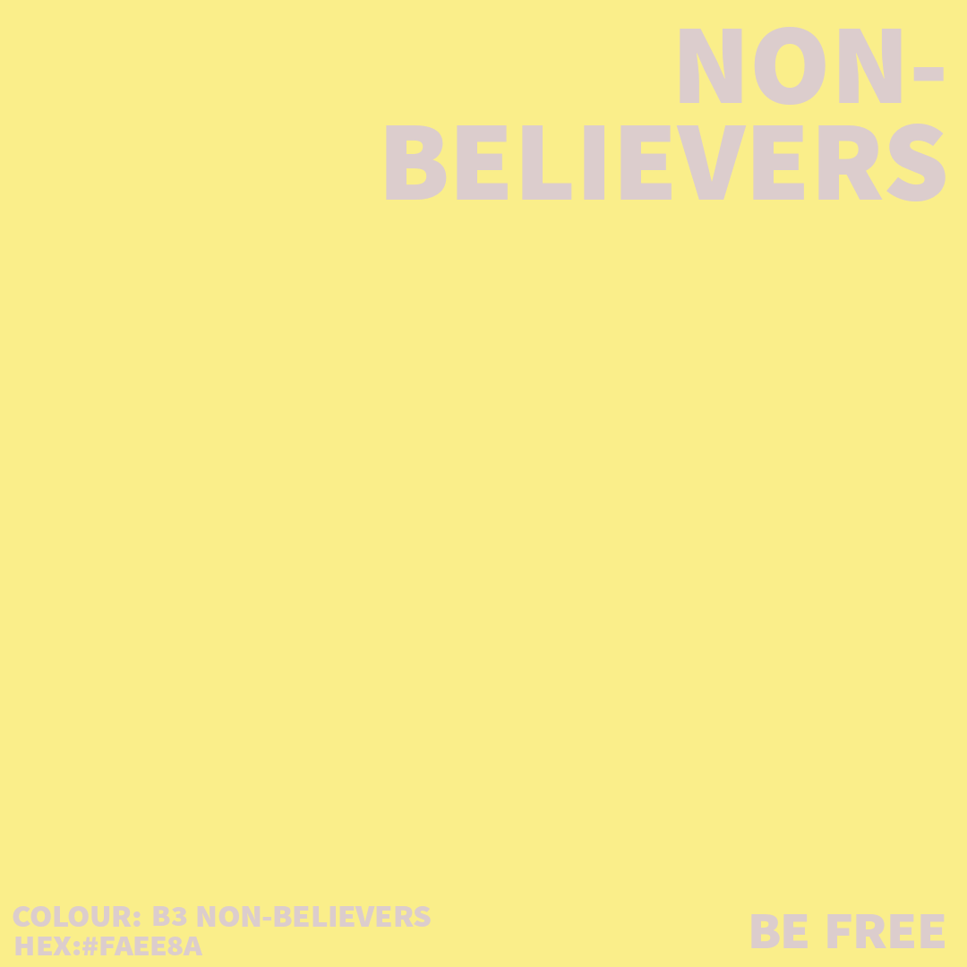 B3 NON-BELIEVER Artist acrylic colour HEX FFFA96