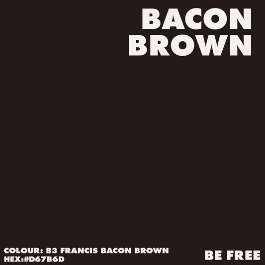 B3 FRANCIS BACON BROWN Artist acrylic paint colour. HEX D67B6D