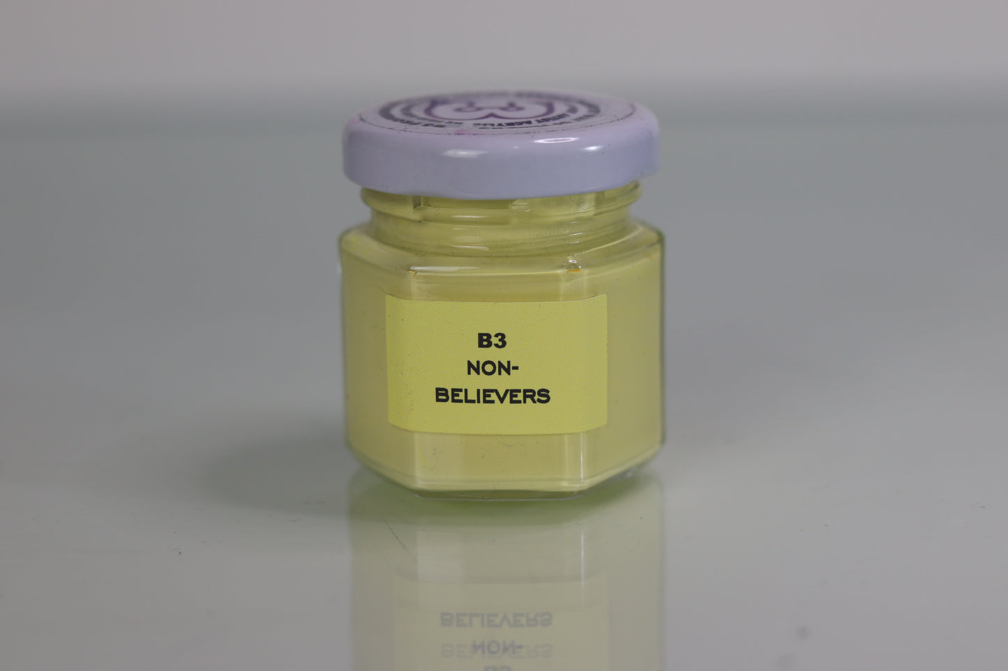Artist Acrylic Paint Matt BE3 NON- BELIEVERS