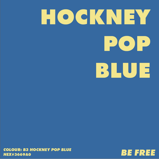 B3 HOCKNEY BLUE