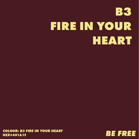 B3 FIRE IN YOUR HEART