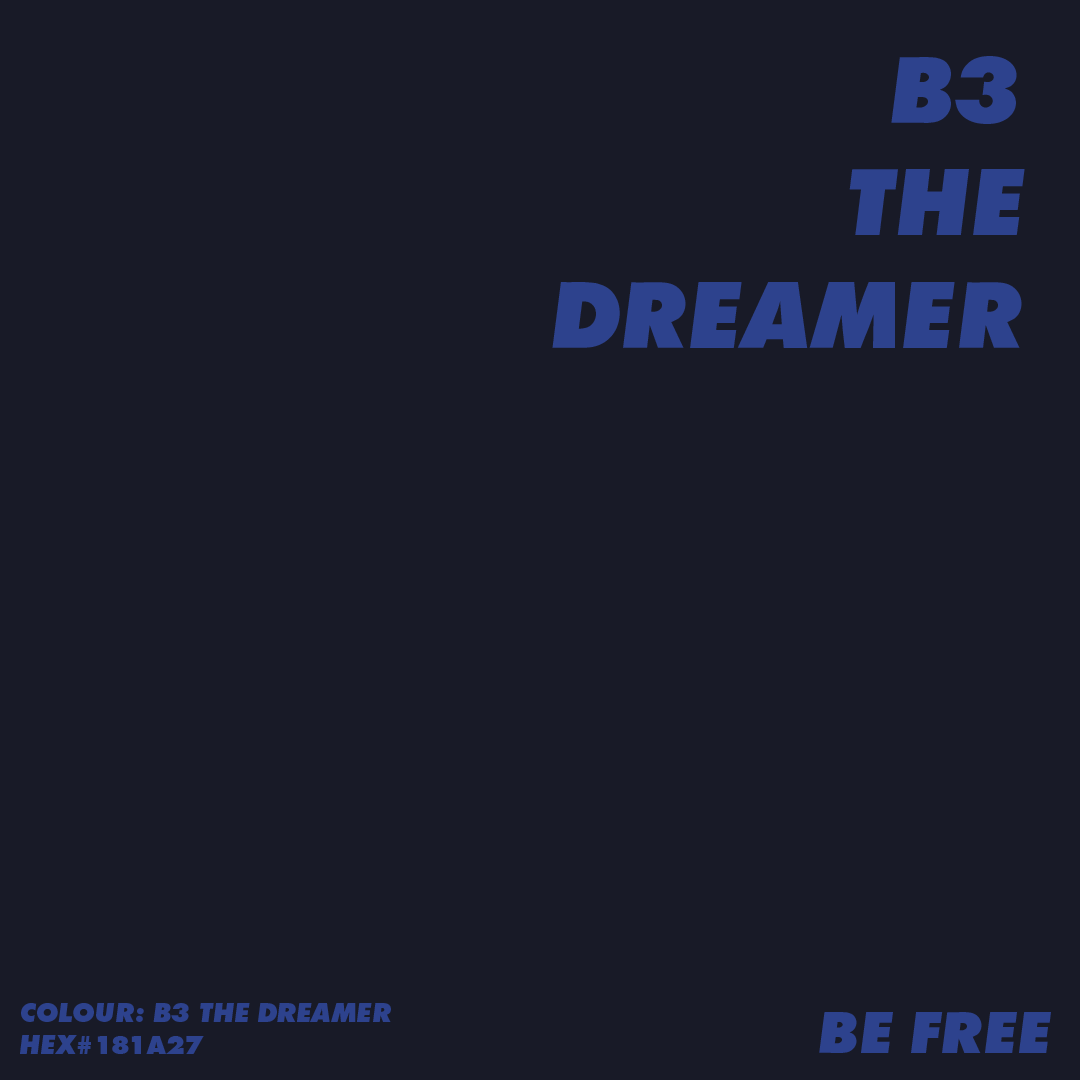 B3 THE DREAMER